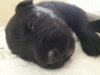 IMG-20181101-WA0000.jpg