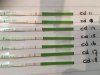 EBF53CFB-F611-4DB6-A0CD-FAD72FB00709.jpeg