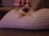 20181102_210728.jpg