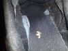 20181105_080827.jpg