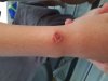 20180719_114920.jpg