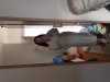 20181107_095604.jpg