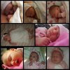 PhotoGrid_1541669367105.jpg