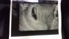 IMG-20181108-WA0018.jpeg