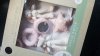 IMG-20181108-WA0002.jpeg
