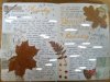 IMG_20181109_094330_088.jpg