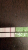 42C7074B-FCB4-41DC-8B63-D95751698085.png