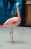BF0CD765-F2A9-42D3-A355-B4D25A62D713.gif
