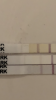 2F596BE1-4569-438B-8B38-97DB9FBDA36C.png