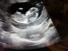 IMG-20181111-WA0016.jpg