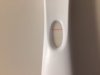 ED06E5A3-21A7-438D-9D0F-693A18FA575F.jpeg