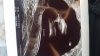IMG-20181103-WA0007.jpeg