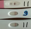 20181115_112318.jpg