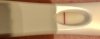8BAE235F-1930-4880-907F-1FC2BEF2C52D.jpeg