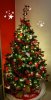 IMG_20171207_165428.jpg