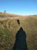 IMG_20181118_113431795.jpg