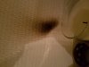 20181118_192230.jpg