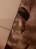 20181120_101840.jpg