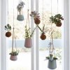 Interieurtrends-2017-hangplanten-voor-het-raam.jpg