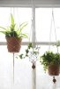9e6b9e69888a6d6e58b2a4a6a5e6c022--diy-trend-diy-hanging-planter.jpg