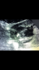 F666A46A-C193-40B6-A111-0318C94C72C3.png