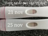 IMG_20181125_112322.jpg