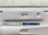 3FF1C816-7EE3-4FEB-B601-98C569CEF111.jpeg