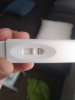 IMG_20181129_112535.jpg