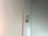 4CD5FFF0-2CEE-41E3-B78E-028940D1EF45.jpeg