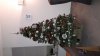 IMG-20181203-WA0004.jpeg