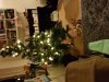 20181202_200201.jpg