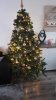 IMG-20181205-WA0000.jpeg