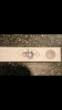 804537C6-219D-4B17-96A9-C752EDC7AD22.png