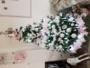 20171206_115449.jpg