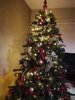 IMG_20181205_215207.jpg