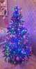 20181205_182832.jpg