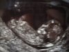 Echo 3 22-5-2012 i.jpg