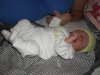 SAM_0847.jpg