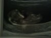 IMG00836-20120517-1108.jpg