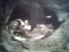 IMG00315-20120515-0955.jpg