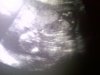 IMG-20120104-01168.jpg