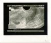 scan0001.jpg