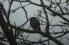 DSC07614.jpg