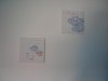 DSC09510.jpg