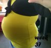 IMG_3749.jpg