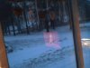 TPhoto_00013.jpg
