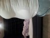 20130116_090104.jpg