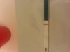 20130119_082300.jpg