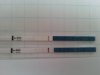 20130119_094150.jpg