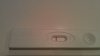 IMAG0358.jpg